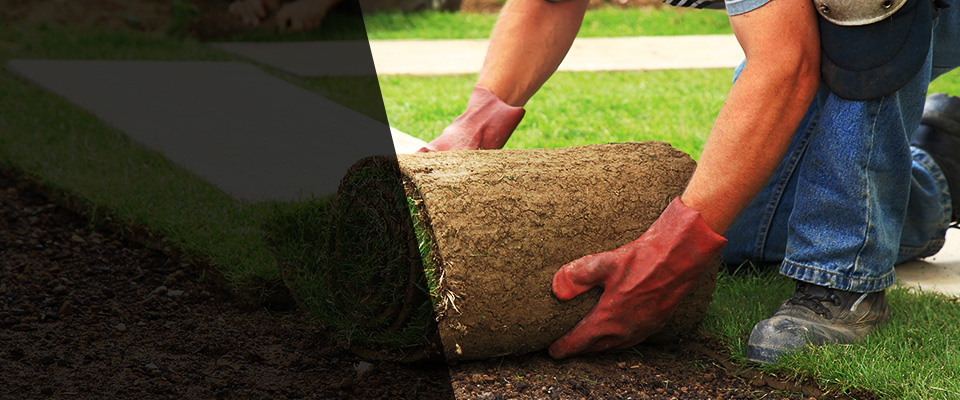 Milbank Landscapers